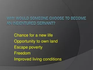 Why would someone choose to become an indentured servant?