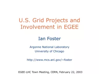 U.S. Grid Projects and Involvement in EGEE