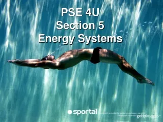 PSE 4U Section 5  Energy Systems