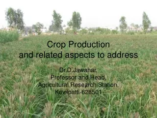 Crop Production and related aspects to address