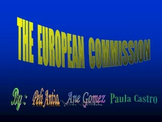 THE  EUROPEAN  COMMISSION
