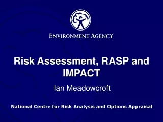 Risk Assessment, RASP and IMPACT
