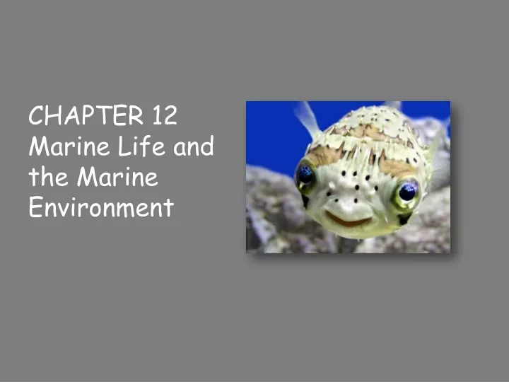 chapter 12 marine life and the marine environment