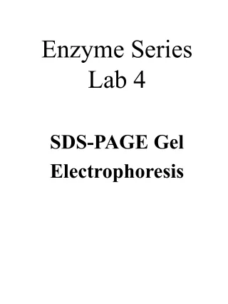 Enzyme Series  Lab 4