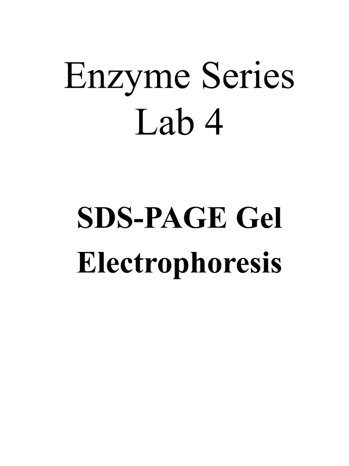 enzyme series lab 4