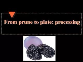 From prune to plate: processing