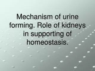Mechanism of urine forming. Role of kidneys in supporting of homeostasis.