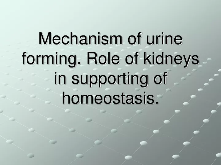 mechanism of urine forming role of kidneys in supporting of homeostasis