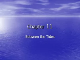 Chapter  11