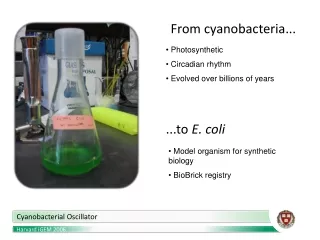 From cyanobacteria...