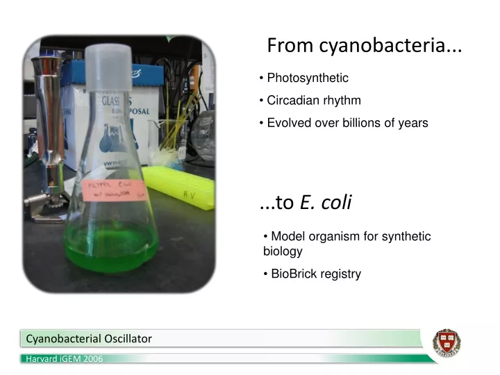 from cyanobacteria