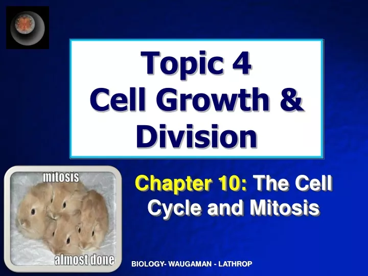 topic 4 cell growth division