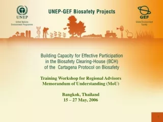 Training Workshop for Regional Advisors Memorandum of Understanding (MoU) Bangkok, Thailand