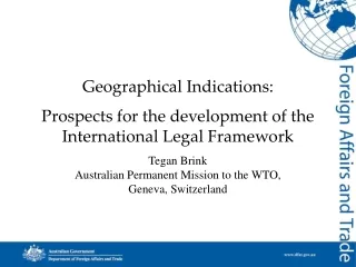 Geographical Indications:  Prospects for the development of the International Legal Framework