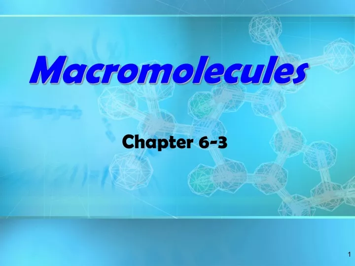 macromolecules