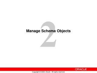 Manage Schema Objects
