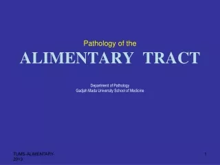 Upper ALIMENTARY tract