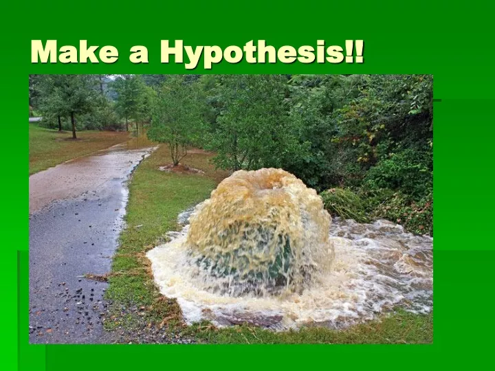 make a hypothesis