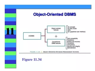 Object-Oriented DBMS