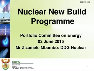 Nuclear New Build Programme Portfolio Committee on Energy 02 June 2015