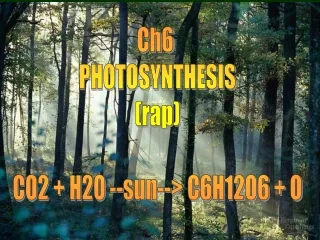 Ch6  PHOTOSYNTHESIS (rap) CO2 + H2O --sun--&gt; C6H12O6 + O