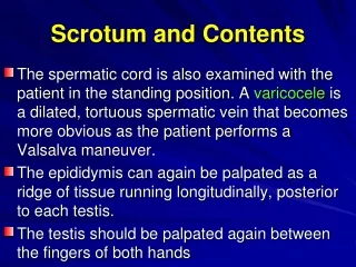 Scrotum and Contents