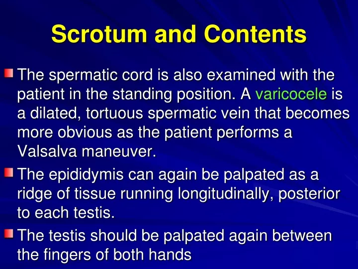 scrotum and contents
