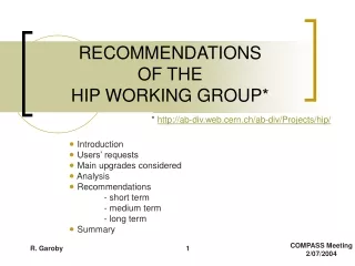 RECOMMENDATIONS OF THE  HIP WORKING GROUP*