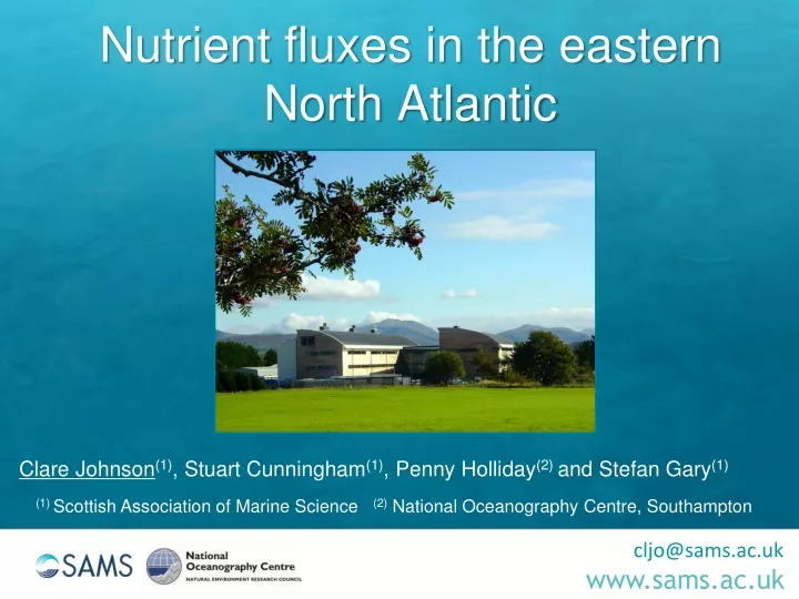 nutrient fluxes in the eastern north atlantic