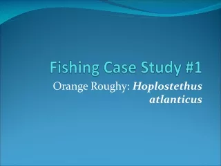 Fishing Case Study #1