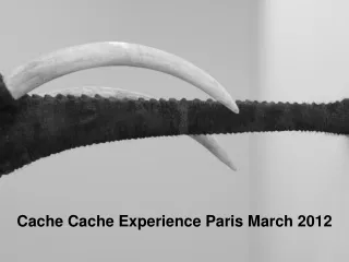 Cache Cache Experience Paris March 2012