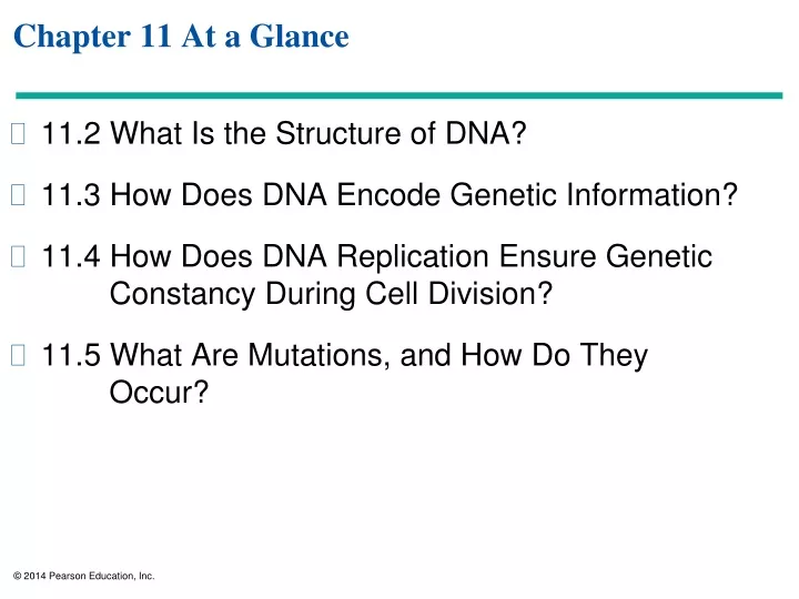 chapter 11 at a glance