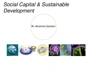Social Capital &amp; Sustainable Development