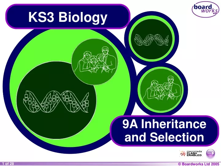 ks3 biology