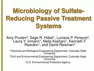 Microbiology of Sulfate-Reducing Passive Treatment Systems