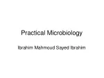Practical Microbiology Instrument Guide - slide 1