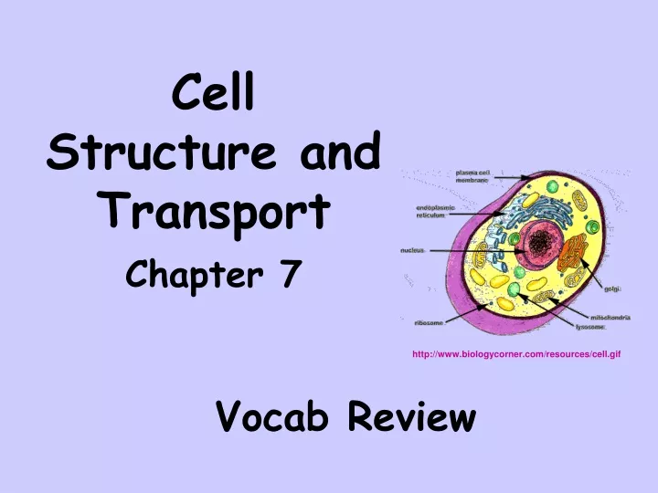 cell structure and transport chapter 7