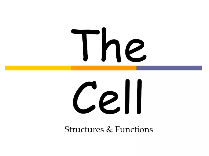 the cell