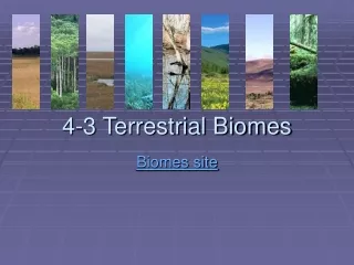 4-3 Terrestrial Biomes