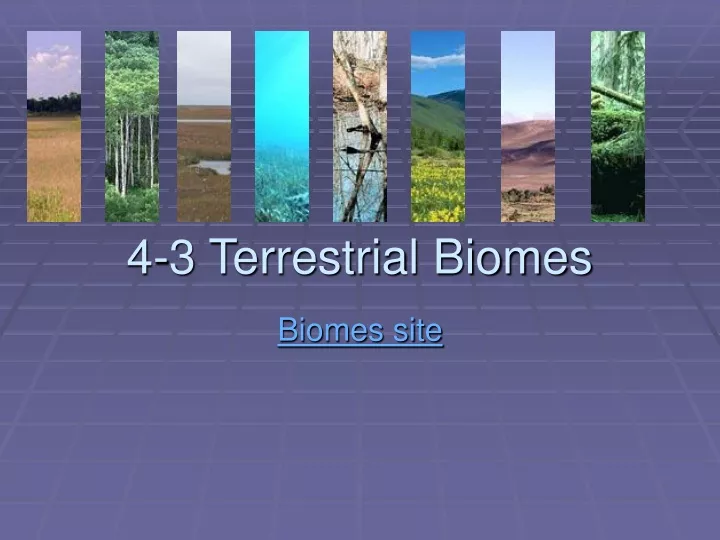 4 3 terrestrial biomes