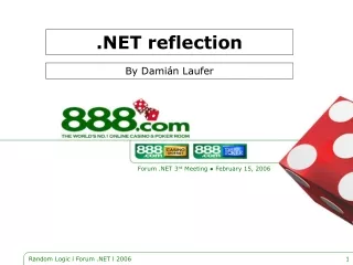.NET reflection