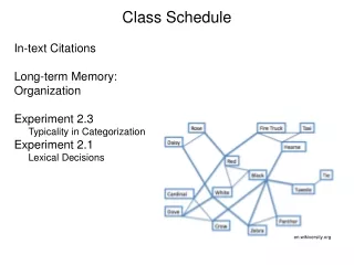 Class Schedule