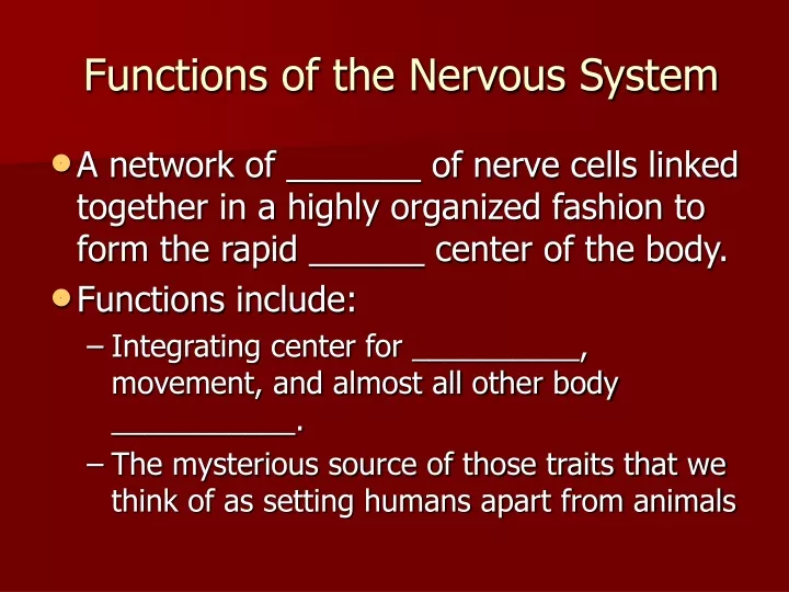 functions of the nervous system