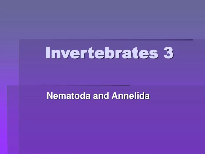 invertebrates 3