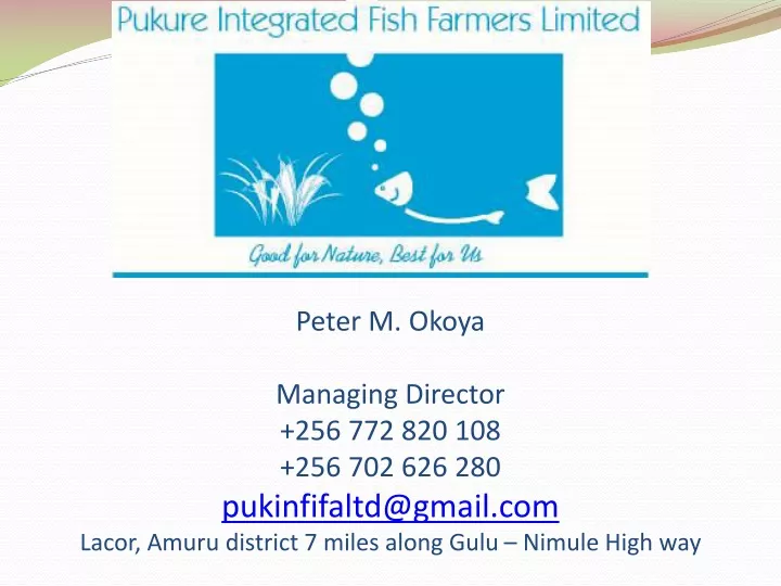 peter m okoya managing director