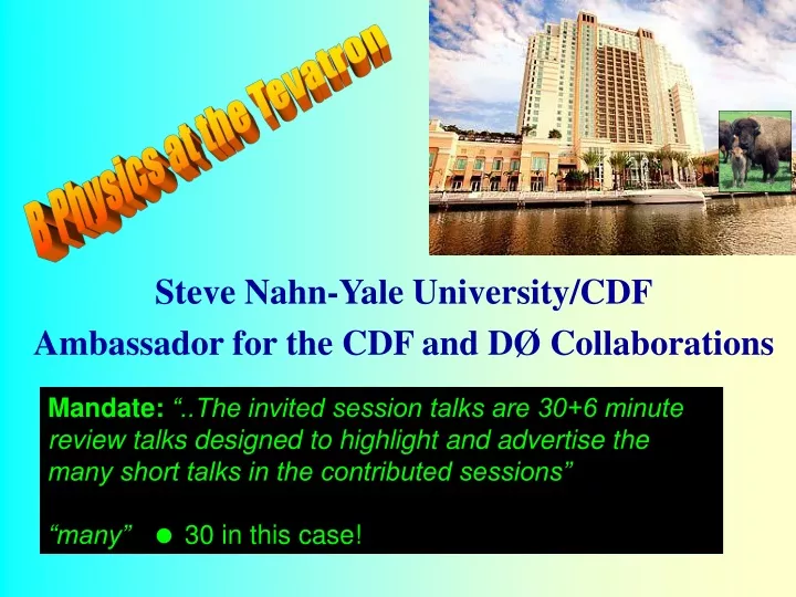 steve nahn yale university cdf ambassador for the cdf and d collaborations