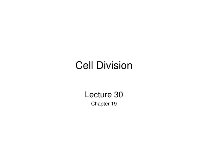 cell division