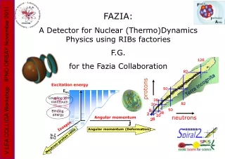 FAZIA:  A Detector for Nuclear (Thermo)Dynamics Physics using RIBs factories F.G.
