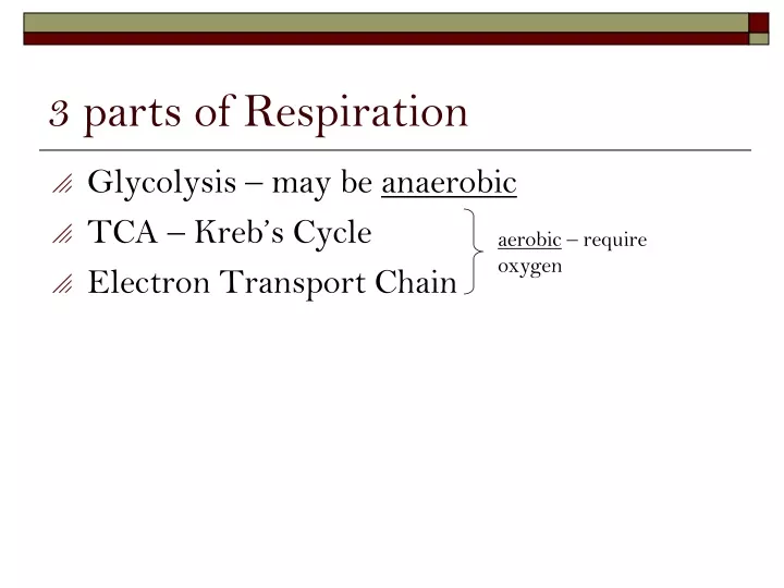 3 parts of respiration
