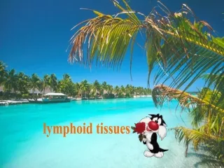 lymphoid tissues